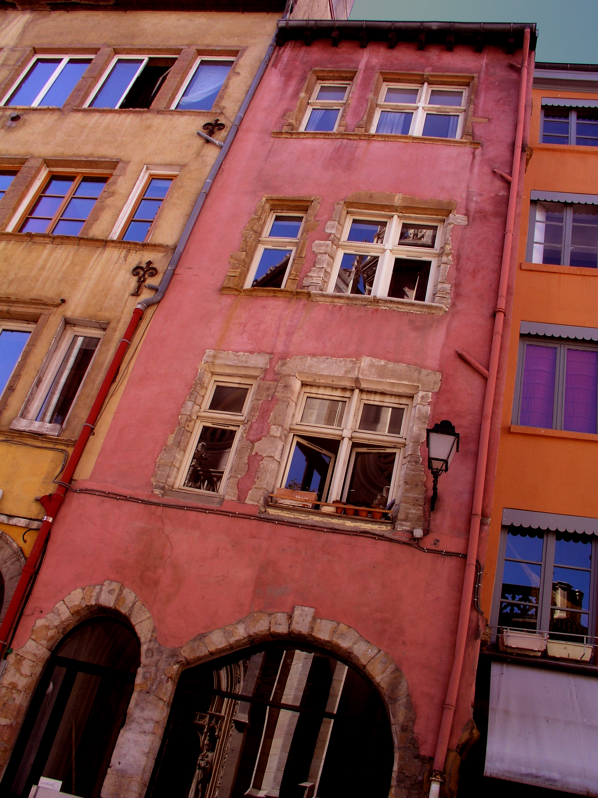 Painted ladies of Lyon