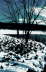 Bruegel at Briant Park