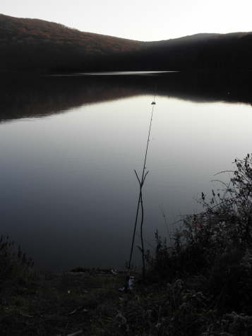 Fishing Line