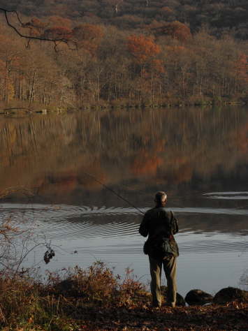 Gone Fishing