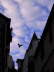 I Can Fly
