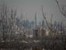 Manhattan