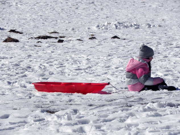 Red Sleigh