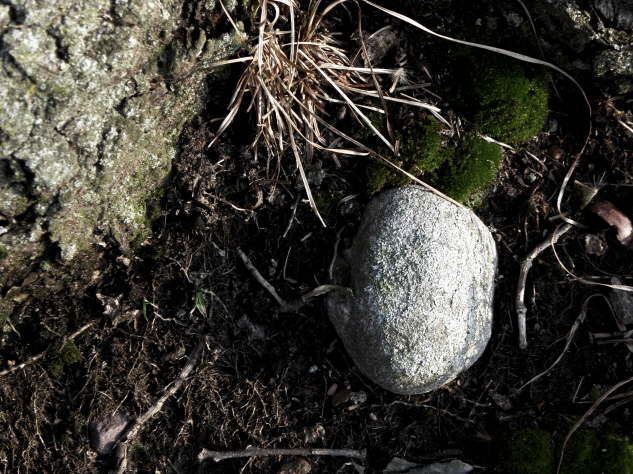 Rock Formation
