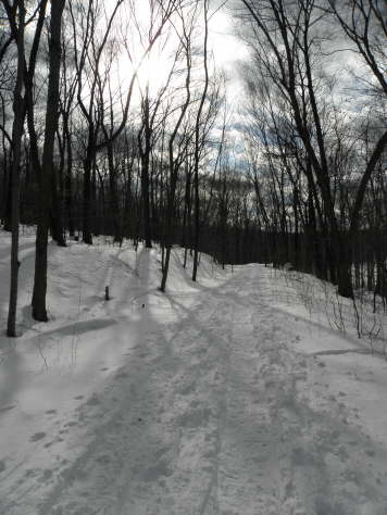 Snow Lane