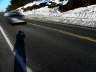 Suicidal Shadow