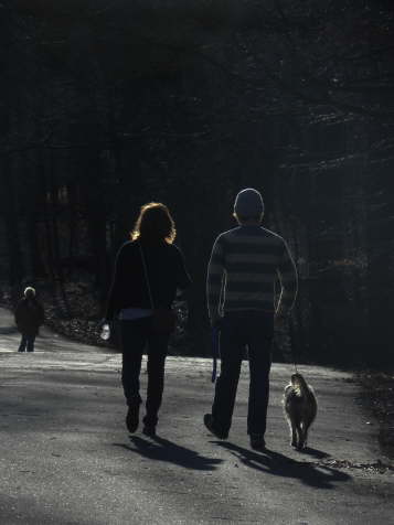Walking the Dog