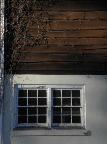 Window